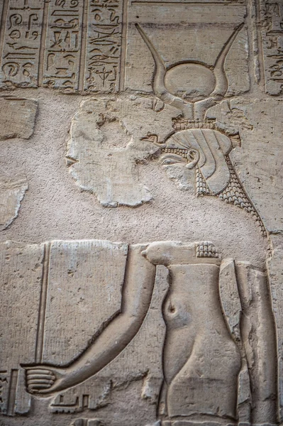 Ägyptische Hieroglyphen an der Wand im sobek-Tempel in kom ombo, Ägypten — Stockfoto