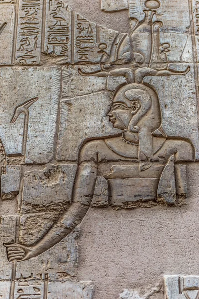 コム ・ オンボ、エジプトのソベック社寺の壁にヒエログリフ — ストック写真