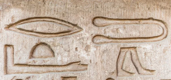 Египетские иероглифы на стене в храме Собека в Ком Омбо, Египет — стоковое фото