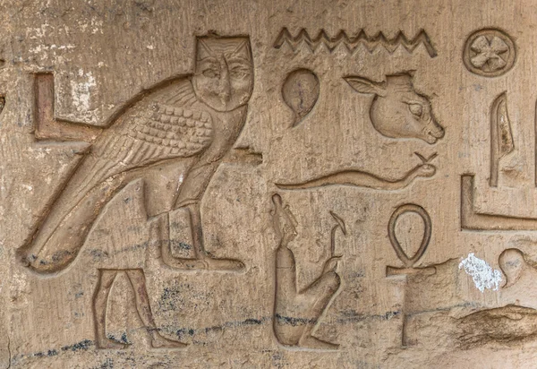Egipskie hieroglify na ścianie w świątyni Sobka w Kom Ombo, Egipt — Zdjęcie stockowe