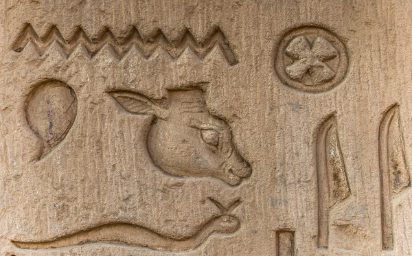 Egyptské hieroglyfy na zdi v chrámu Sobek v Kóm Ombo, Egypt — Stock fotografie