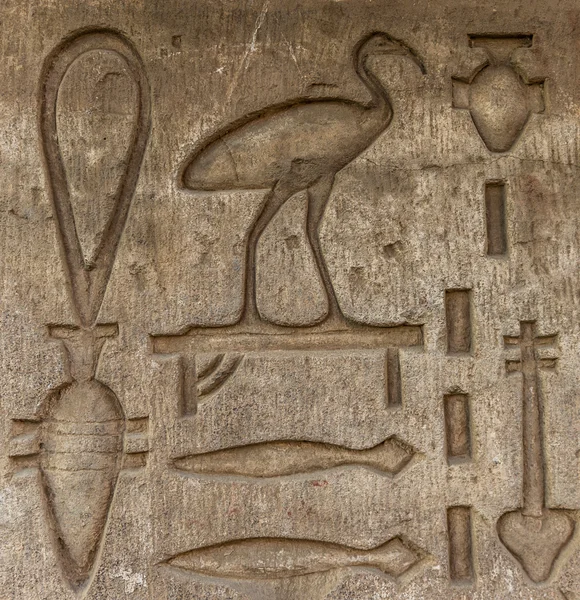 Egyptian hieroglyphs on the wall in the Sobek temple in Kom Ombo, Egypt — Stock Photo, Image