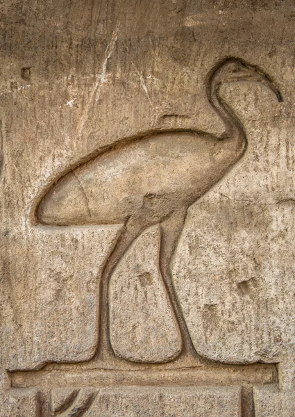 Egyptské hieroglyfy na zdi v chrámu Sobek v Kóm Ombo, Egypt — Stock fotografie