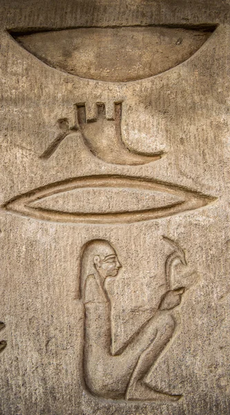 Egyptské hieroglyfy na zdi v chrámu Sobek v Kóm Ombo, Egypt — Stock fotografie