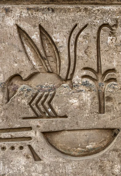 Sobek Tapınağı Kom Ombo, Mısır'daki duvarda Mısır hiyeroglif — Stok fotoğraf