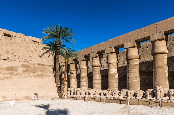 Temple Karnak, Louxor, Égypte — Photo