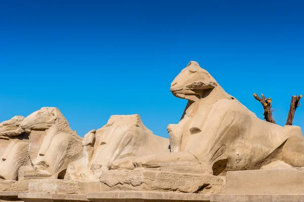 Templo de Karnak, Luxor, Egipto — Foto de Stock