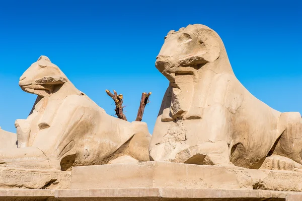 Templo de Karnak, Luxor, Egipto — Foto de Stock