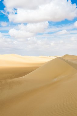 Güzel kumulları Sahara Çölü, Egypt