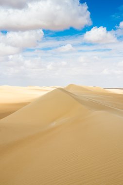 Güzel kumulları Sahara Çölü, Egypt