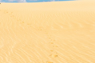 Güzel kumulları Sahara Çölü, Egypt