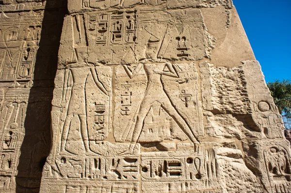 Ανακουφίσεις Medinet Habu (νεκροτομείο ναός του Ramesses ΙΙΙ), δυτική όχθη του Luxor στην Αίγυπτο — Φωτογραφία Αρχείου