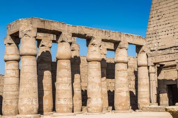 Templo de Luxor, orilla este del Nilo, Egipto —  Fotos de Stock