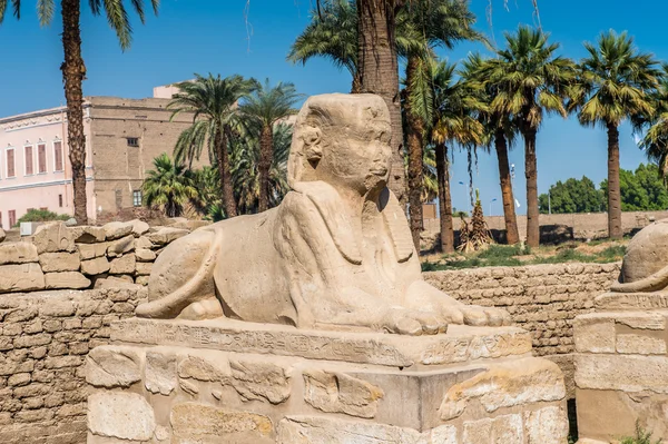 Templo de Luxor, orilla este del Nilo, Egipto — Foto de Stock