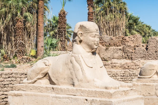 Luxor tempel, oostelijke oever van de Nijl, Egypte — Stockfoto