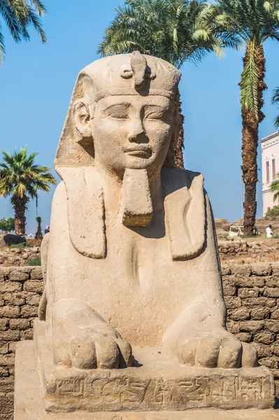 Luxor Temple, East Bank of the Nile, Egypt