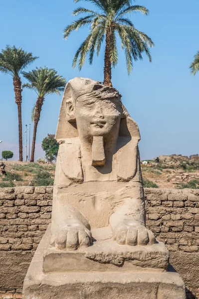 Templo de Luxor, orilla este del Nilo, Egipto — Foto de Stock