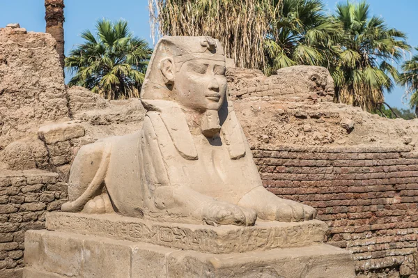 卢克索神庙，东亚银行的尼罗河，埃及 — 图库照片