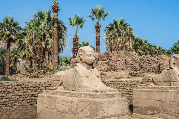 エジプト、ナイル川の東岸ルクソール神殿 — ストック写真