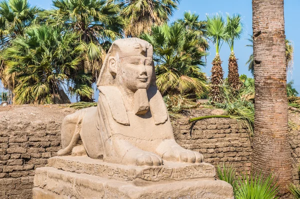 Luxor Temple, East Bank of the Nile, Egito — Fotografia de Stock