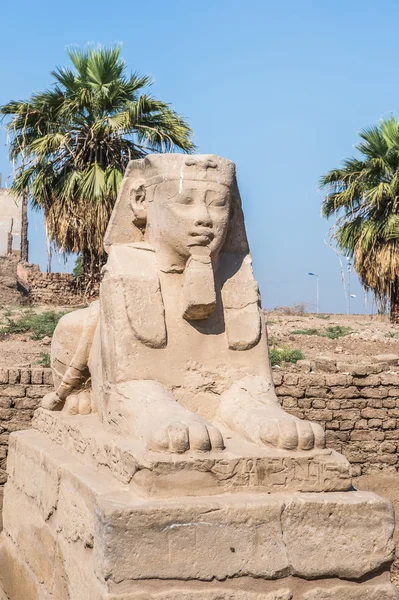 Templo de Luxor, orilla este del Nilo, Egipto — Foto de Stock