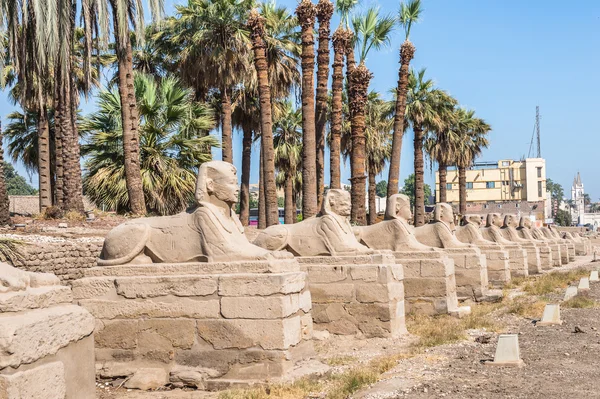 Templo de Luxor, orilla este del Nilo, Egipto — Foto de Stock