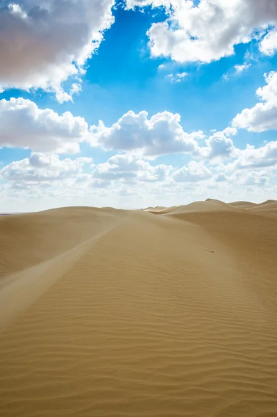 Beautiful sand dunes in the Sahara Desert, Egypt — Stock Photo, Image