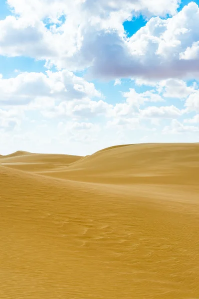 Belas dunas de areia no deserto do Saara, Egito — Fotografia de Stock