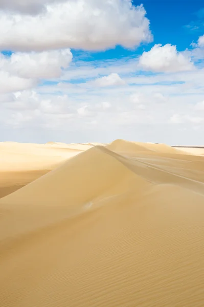 Beautiful sand dunes in the Sahara Desert, Egypt — Stock Photo, Image