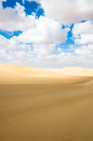 Beautiful sand dunes in the Sahara Desert, Egypt — Stock Photo, Image