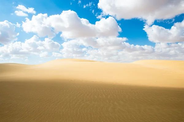 Güzel kumulları Sahara Çölü, Egypt — Stok fotoğraf