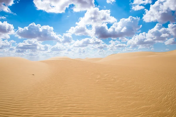 Beautiful sand dunes in the Sahara Desert, Egypt — Stock Photo, Image