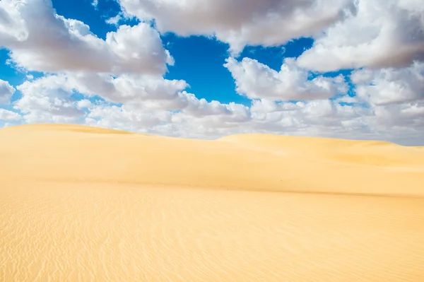 Güzel kumulları Sahara Çölü, Egypt — Stok fotoğraf