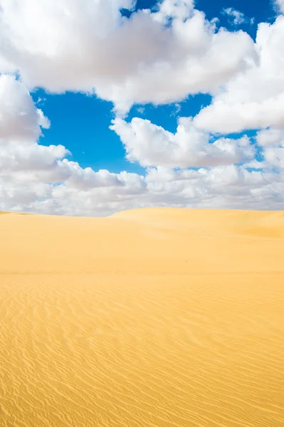 Güzel kumulları Sahara Çölü, Egypt — Stok fotoğraf