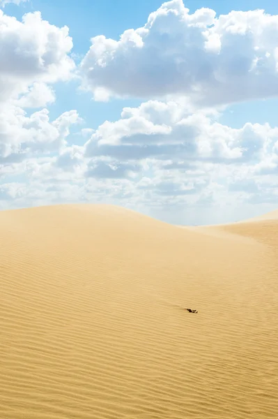 Belas dunas de areia no deserto do Saara, Egito — Fotografia de Stock