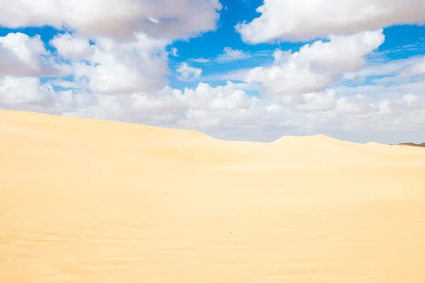 Beautiful sand dunes in the Sahara Desert, Egypt — Stock Photo, Image