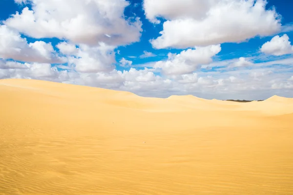 Vackra sanddyner i Sahara öknen, Egypten — Stockfoto