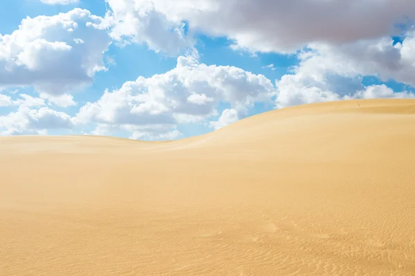 Güzel kumulları Sahara Çölü, Egypt — Stok fotoğraf