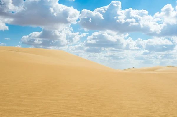 Güzel kumulları Sahara Çölü, Egypt — Stok fotoğraf