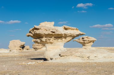 Western beyaz çöl Milli Parkı, Mısır