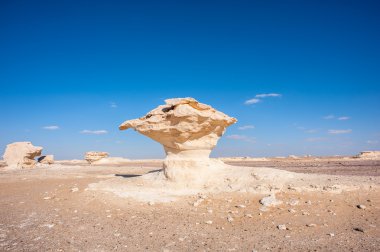 Western beyaz çöl Milli Parkı, Mısır