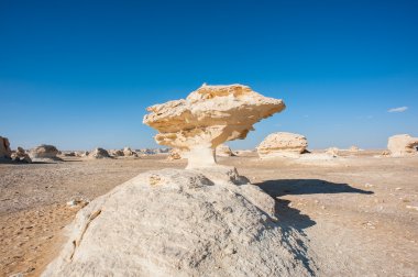 Western beyaz çöl Milli Parkı, Mısır