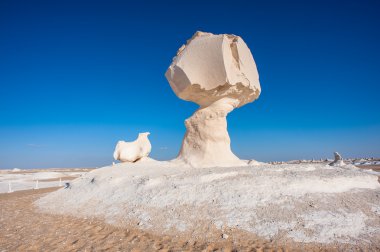 Western beyaz çöl Milli Parkı, Mısır