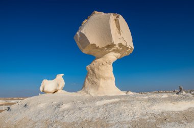 Western beyaz çöl Milli Parkı, Mısır