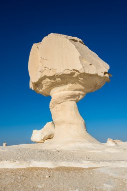 Western beyaz çöl Milli Parkı, Mısır
