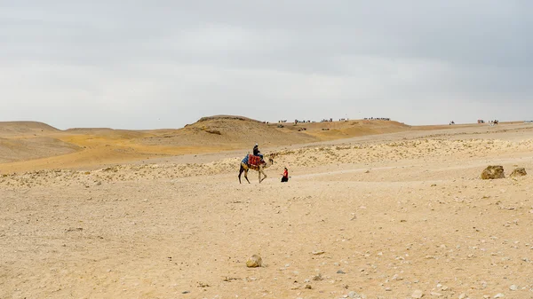 Necrópolis de Giza, Patrimonio Mundial de la UNESCO — Foto de Stock