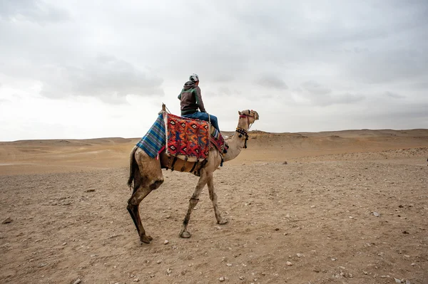 Giza nekropol, Unesco Dünya Mirası — Stok fotoğraf