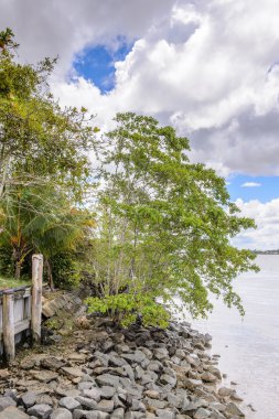 Surinam, Güney Amerika