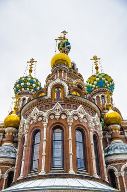 Saint Petersburg, Rusya Federasyonu
