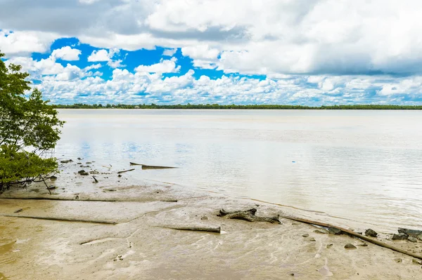 Suriname, Zuid-Amerika — Stockfoto